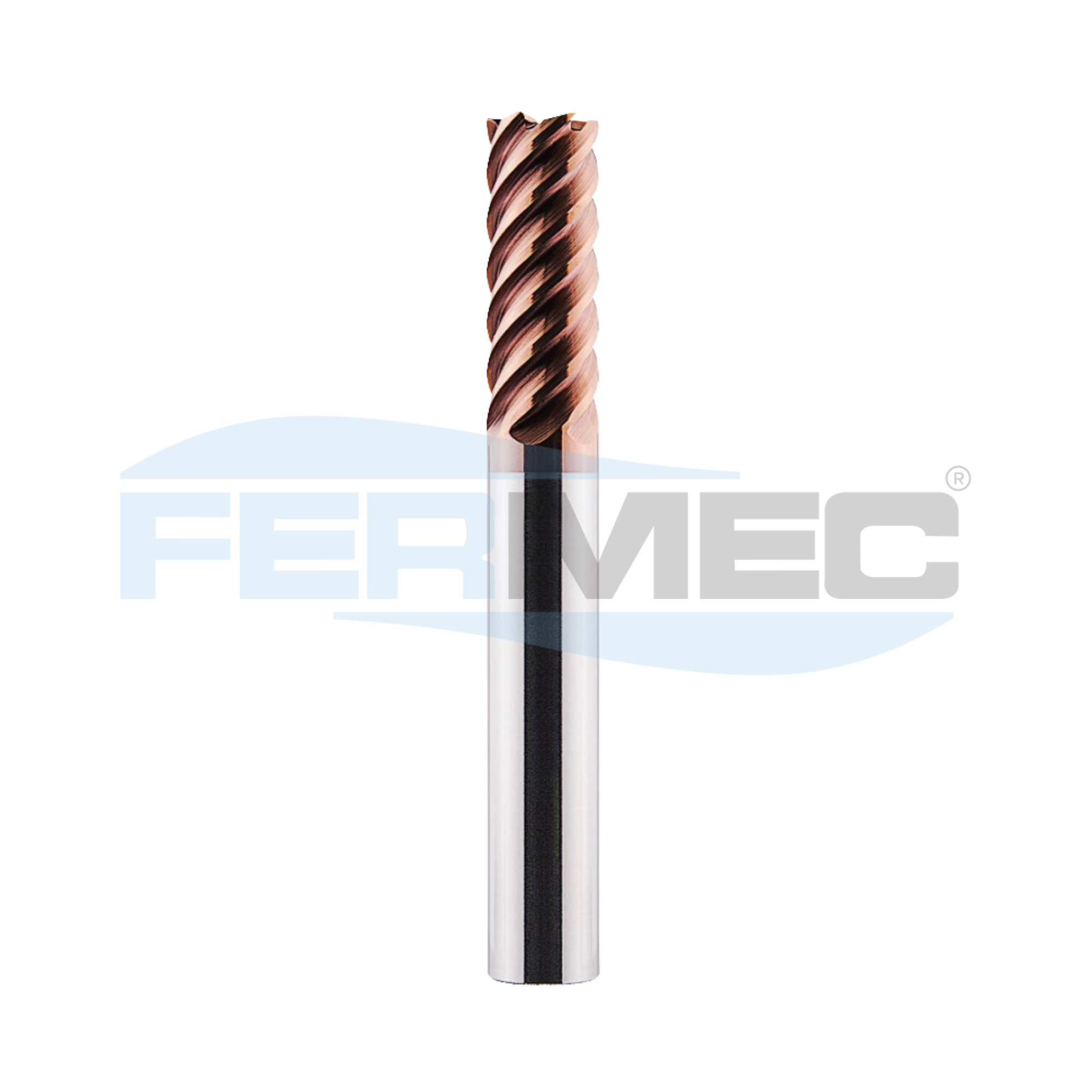 Fresa Topo Metal Duro 6C 55HRC